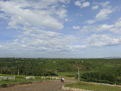 ĐẤT DI LINH SHR THỔ CƯ VỐN KHỞI ĐIỂM 150TR