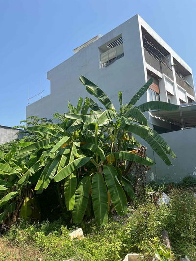 ĐẤT ĐẸP HẺM 140 VƯỜN LÀI