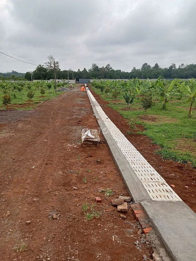 2,3183ha đất trồng cây ăn trái, Bình Lộc Long Khánh – Giá 28 Tỷ