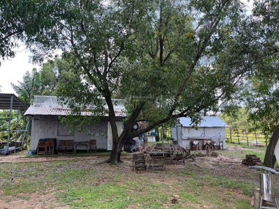 Bán đất mặt tiền sông Sài Gòn khu bán Đảo Bình Quới Thanh Đa