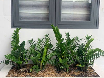 BÁN NHÀ MỚI XÂY 150M2 ĐƯONG XE HƠI TẶNG LUÔN NỘI THẤT P PHÚ THỌ