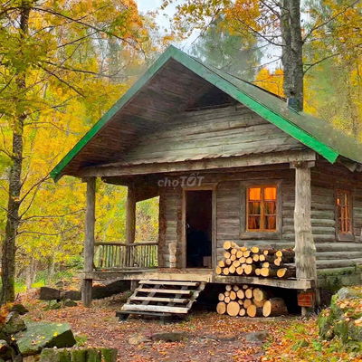 BÁN ĐẤT RỪNG THÔNG NGAY VIN LÀNG VÂN