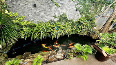 🔴 (NCC) CHO THUÊ NHÀ SÂN VƯỜN 200M2 - GẦN TRƯƠNG QUANG ĐƯỢC, KHU NAM H