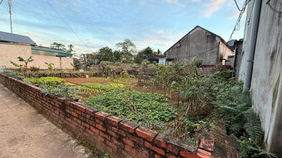 Bán đất Hòa Lạc, Hà Nội, 29 triệu / m2, 200 m2 Chính chủ