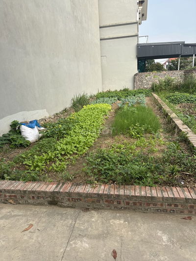 48m2 đất thôn Đoài Đông Anh, ô tô gia đình vào đất