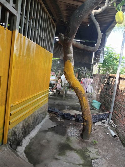 cần bán nhà giấy từ vi bằng ac mua alo e