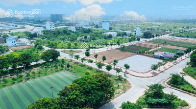 Bán đất LK 100m2, MT 5m, dự án Cienco 5 Mê Linh, sổ đỏ hoặc hợp đồng góp vốn, giá chỉ từ 25tr/m2