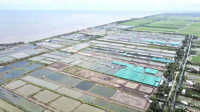 15 Mẫu đất đường xe tải giáp 03 mặt tiền