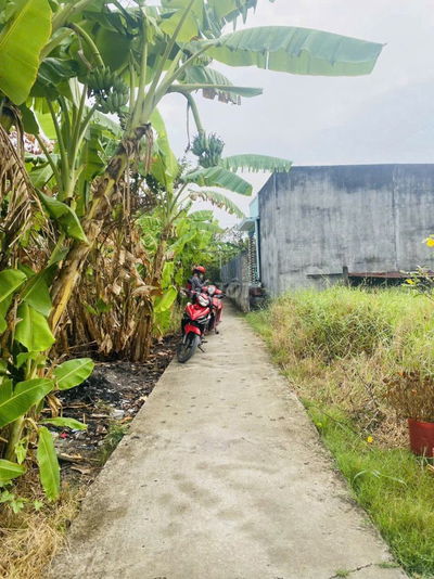 Bán đất chính chủ ko qua mua giới