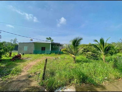 Nhà e bán vườn Bình Phước 240 triệu