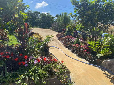 Bán nhà, chính chủ giá rẻ xã Tân Lâm huyện Di Linh