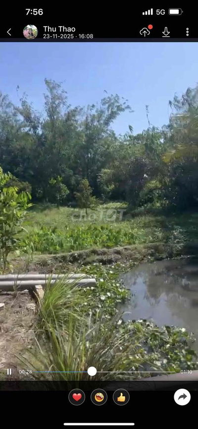 vườn ao chuồng gia đình