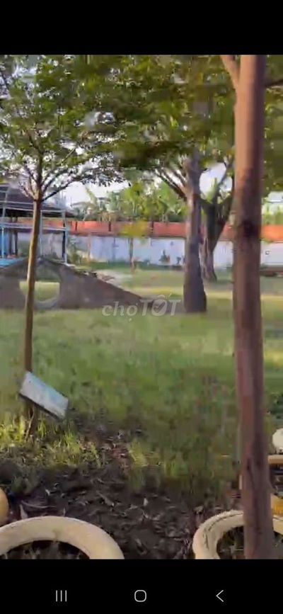 Cho thuê 30x100 m giá 50 triệu/tháng p Long Trường Quận 9