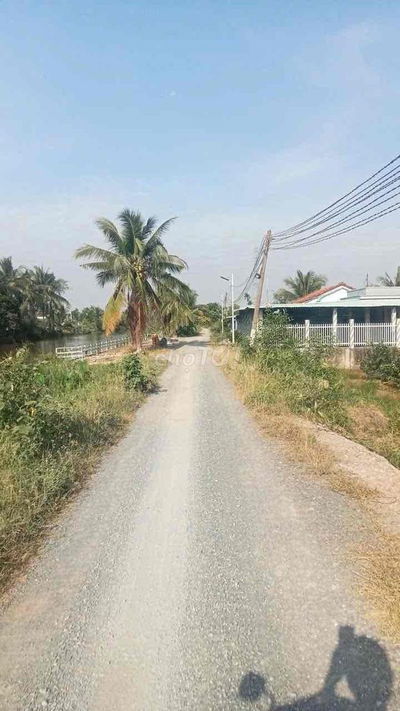 Đất rẻ cho ACE công nhân, đg ô tô hiện sổ, đang trồng chanh