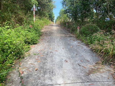 BÁN 1126M2 ĐẤT QUY HOẠCH HƠN 700M2 ĐẤT Ở, CÁCH QL 20 KHOẢNG 600M,