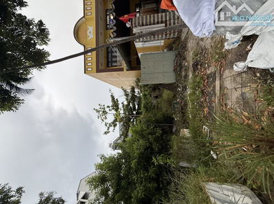 Bán lô đất siêu vip 250m2 đường Bùi Tá Hán sát sông Hàn trục thông 15m đẹp nhất Nam Việt Á