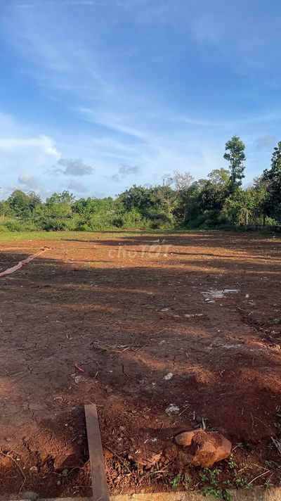 Chính chủ cần bán đất 124,4m2 (60m2 thổ cư) Cư Suê, Daklak