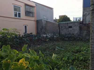 Cần bán đất ở Trang Quan , An Hải, Hải Phòng