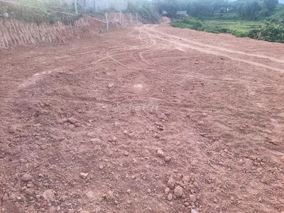 Mình Chính Chủ Bán Lô Đất Trồng Cây Lâu Năm Mặt Tiền Đường DT 602