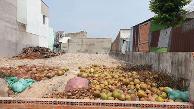 Đất 5.9m x 17m, hẻm xe hơi gần Chợ Đầu Mối Hóc Môn xã Xuân Thới Thượng