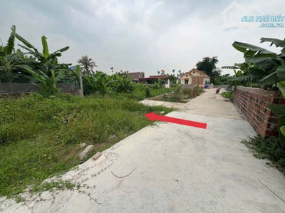 SẢN PHẨM GIÁ RẺ CƠ HỘI ĐẦU TƯ CỰC LỚN TẠI HOA ĐỘNG THUỶ NGUYÊN