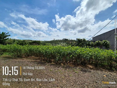 ĐẤT HẺM LÝ THÁI TỔ _ DAMRI GIÁ CỰC ƯU ĐÃI