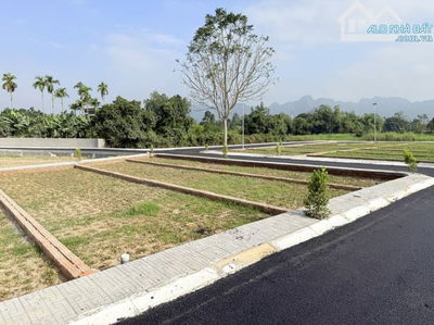 chỉ từ hơn 400tr cơ hội sở hữu đất nền KCN tại phú thành lạc thủy hòa bình