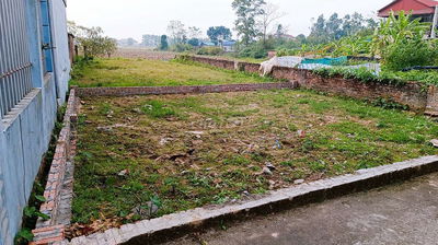 Hiếm- 81m- Đông Lai- Quang Tiến- Thông ô tô