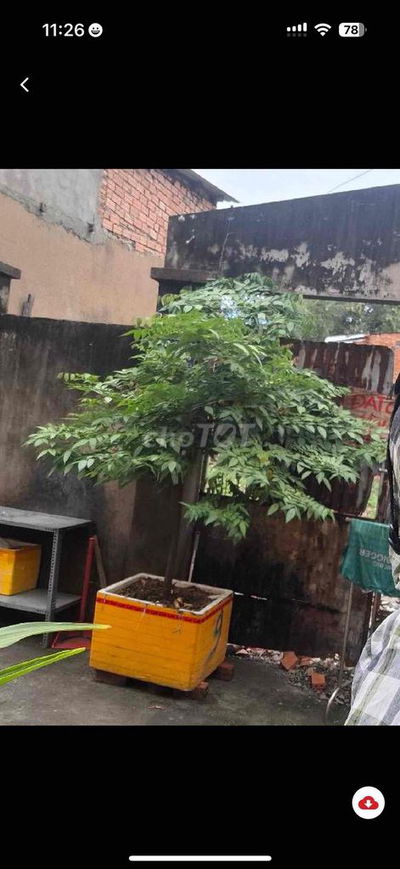 bán đất ngang 10m tại quận 6