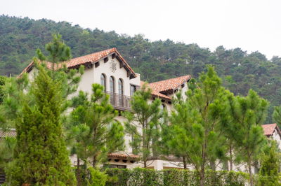 Chính chủ chuyển nhượng song lập căn góc vườn rộng tặng bố mẹ, style Tây Ban Nha Thanh Xuan Valley