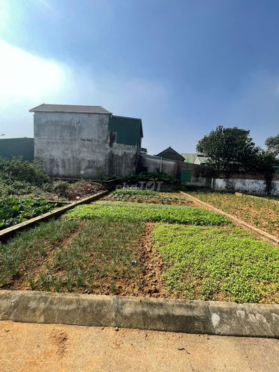 CHỦ NGỘP BÁN GẤP ĐẤT TẠI BÌNH YÊN, HÒA LẠC