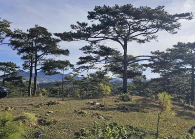 Hàng Ngộp Bán Rẻ 1005m2 Giá 450Triệu TP.Bảo Lộc Tiện Phân Lô View Đẹp