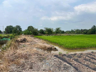 CẦN BÁN ĐẤT 2600m2 HÒA KHÁNH TÂY – ĐỨC HÒA