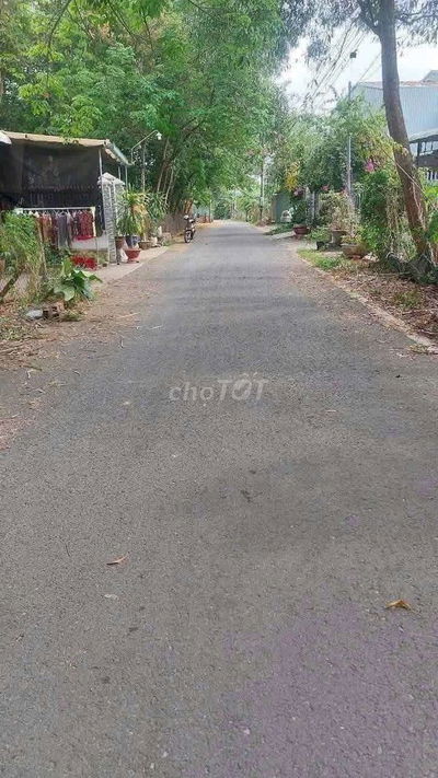 Bán đất lớn xây biệt thự hoặc  xưởng tư nhân dt 4300m, đường nhựa 5,5m