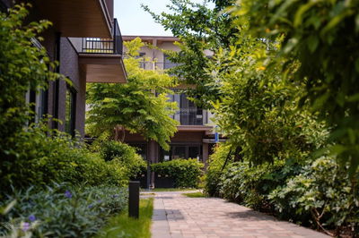 Izumi City - Homie 9 đại lý chiến lược với giỏ hàng độc quyền đẹp & giá tốt nhất