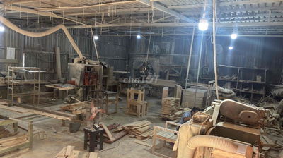 Sang xưởng Gỗ thông đầy đủ máy móc để khởi nghiệp