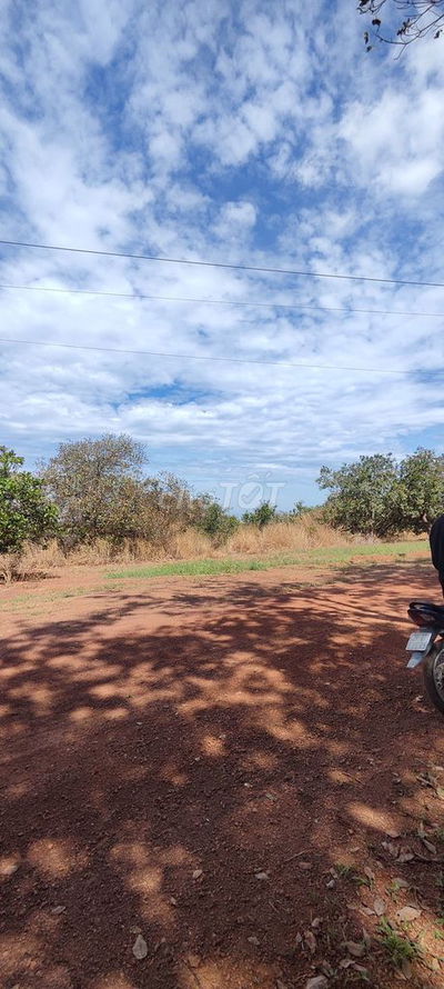 Bán đất 1ha có suối chảy qua