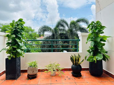 Chính chủ bán CH cc Conic Đông Nam Á 107,4 m2, 2PN, 2WC, NT đủ, svườn