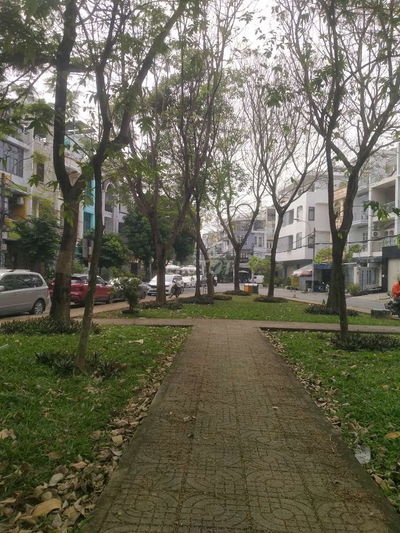 Cho thuê phòng trọ.Đ/C.:--1/3 đường số 4 cxđt Q3