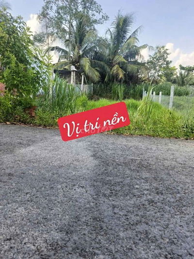 Đất nền lộ nhựa 5 tấn Tam Bình Vĩnh Long