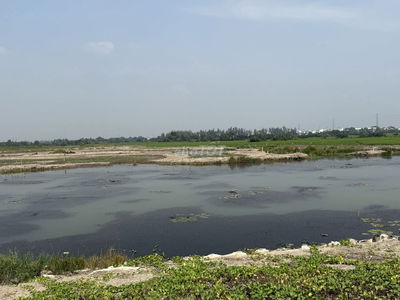 bán 1000m đất vườn đường đất đen, kế đường Phú Mỹ 2 Phú Đông, NT