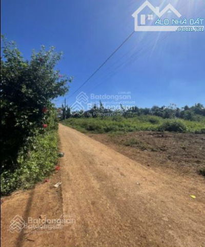 Góc 2 mặt hẻm Buôn Riêng ngay Km19 chợ Ea Knuec 10x43 TC180m2 chỉ 700tr Quỳnh Anh