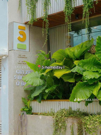 phòng trọ trong 5 homestay cao cấp