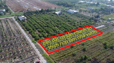 2000mv Giá 560tr/1000mv ,ngang 21 dài 96 ,ÔTÔ NGAY ĐẤT,CÓ BAO RÀO SẴN