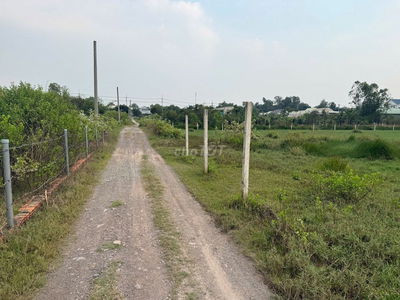 cần bán 1021m ngang 15,8m đất vườn chuyển thổ 1 xẹc Hùng Vương, Phú Độ