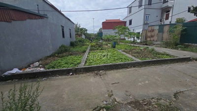 Siêu Phẩm 50m2  My Hạ - Thanh Mai