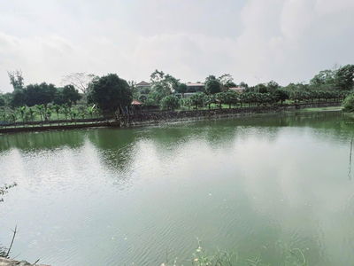 SIÊU PHẨM ĐẤT VÀNG HÒA LẠC  VIEW HỒ  KHÔNG GIAN NGHỈ DƯỠNG ĐẲNG CẤP