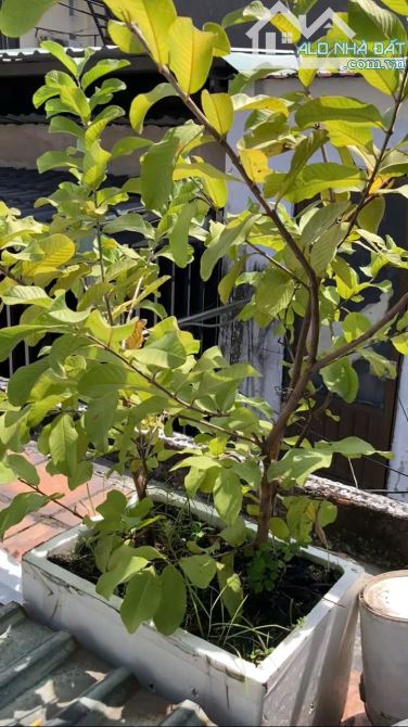 Bán nhà 3 tầng, hẻm thông, Quang Trung,  Gò Vấp giá rẻ chỉ 2.5 tỷ thương lượng