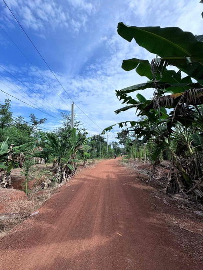 1 mẫu 9 Xuân Thọ Xuân Lộc Đồng Nai.giá 390 triệu một sào