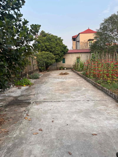 💥 ĐỨC HIỆP – XUÂN LÂM | 82M² VUÔNG ĐẸP – GIÁ CHỈ 3.55 TỶ – CHÍNH CHỦ C